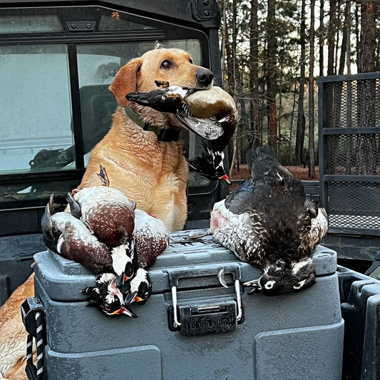 Rugged Road cooler dog